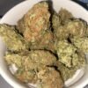 Orange Bud