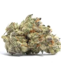 Ethos Snowball Strain – Pound